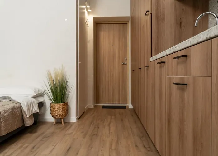 Apartamento Air 216 Vilna