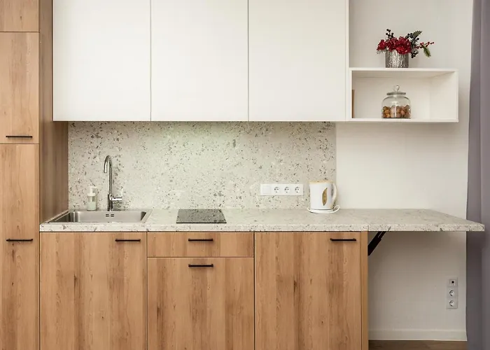 Apartamento Air 216 Vilna