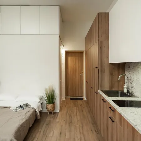 Air 216 Apartment